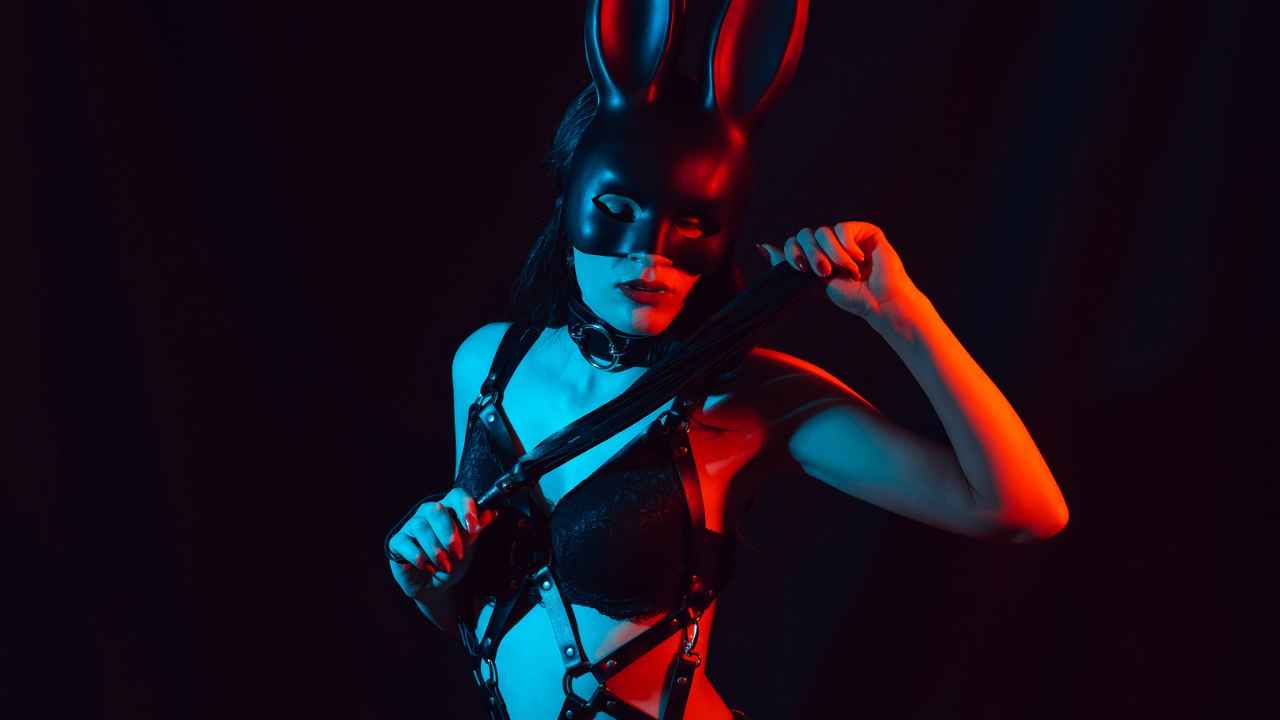 SM 虐待狂 受虐狂