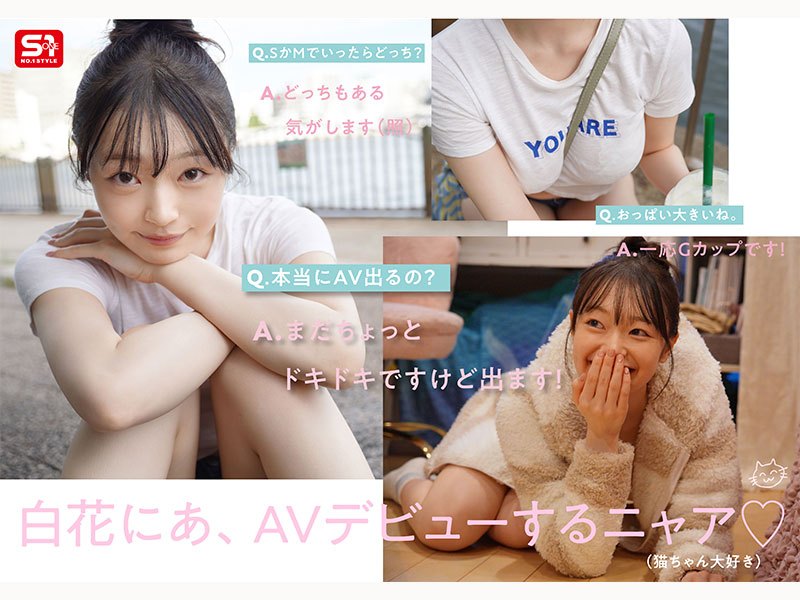 AV女優白花仁愛／白花にあ